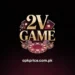 2V Game