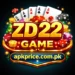 zd 22 game