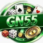 GN55 Game
