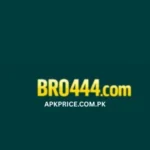 bro444 game