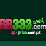 BB333 Game